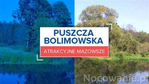 puszcza bolimowska ciekawe miejsca|Atrakcyjne Mazowsze: Puszcza Bolimowska